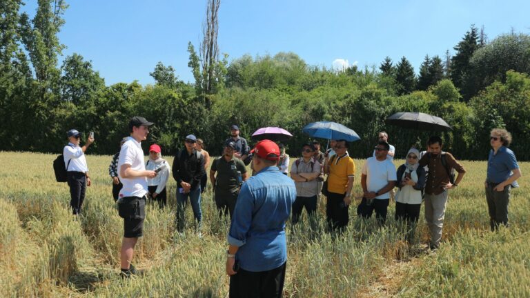 Inspection of a wheat field adjacent to a ground-mounted photovoltaic (PV) installation owned by Zimmermann.