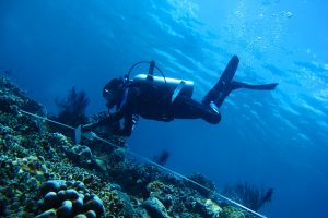 Departemen Biologi ITS