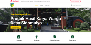 ITS Students Launch Village Websites