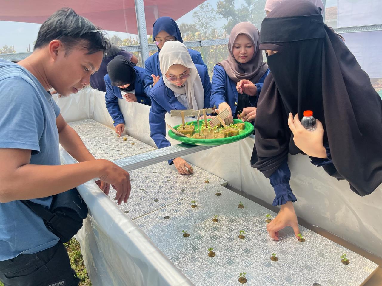ITS Sulap Lahan Tak Produktif Jadi Sumber Pangan Lewat Hidroponik Apung