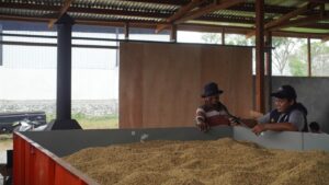 Mesin Pengering Padi Inovatif TEP ITS Bantu Petani Manokwari Selatan