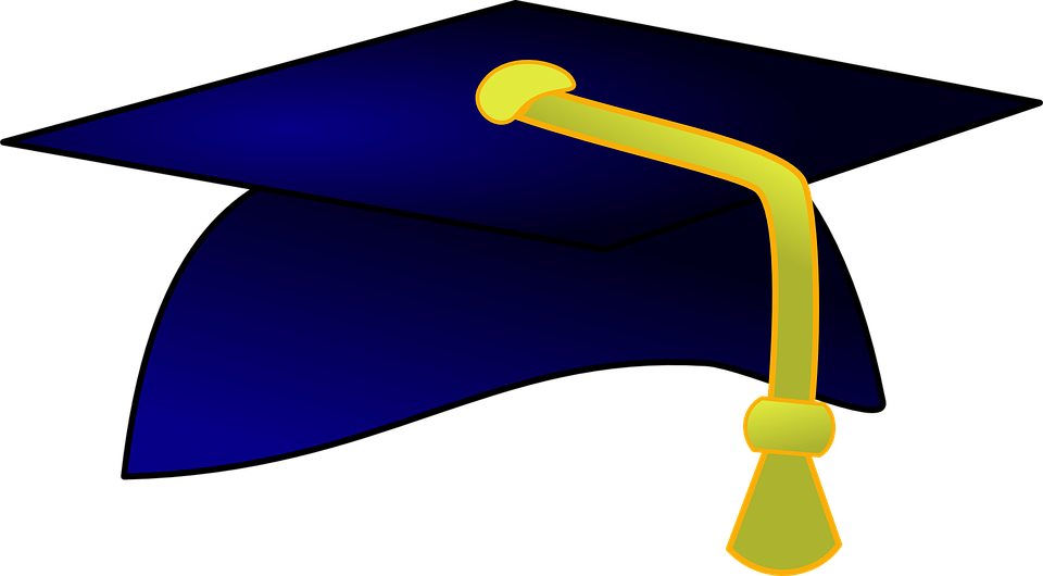 Study Program