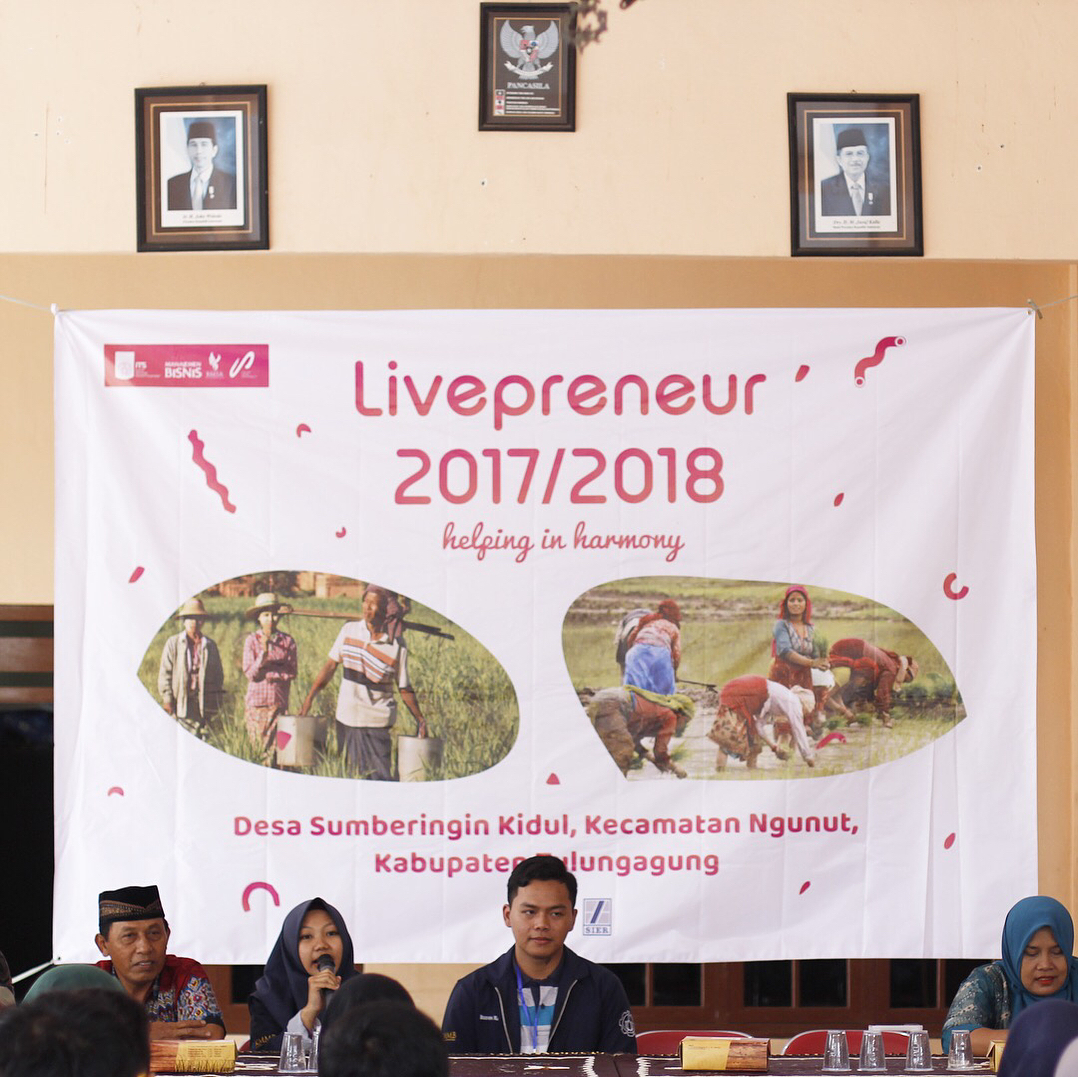 Organisasi