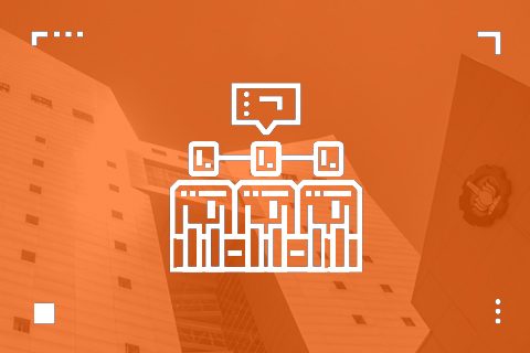 Organization