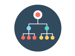 Organizational Structure